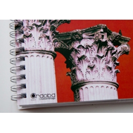 Funda de Gafas Mezquita de Córdoda Funda de Gafas Mezquita de Córdoda