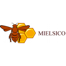 Logo Mielsico