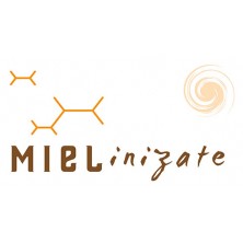Logo Mielinizate