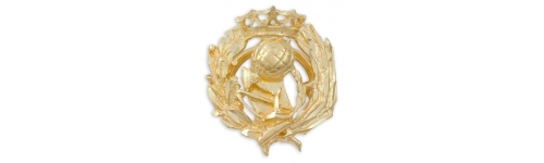 Insignias Profesionales en oro