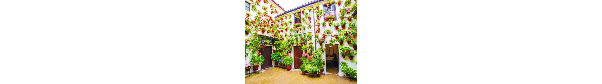 VIAJE A LOS PATIOS DE CORDOBA. Entrada y visita guiada a los patios 2021